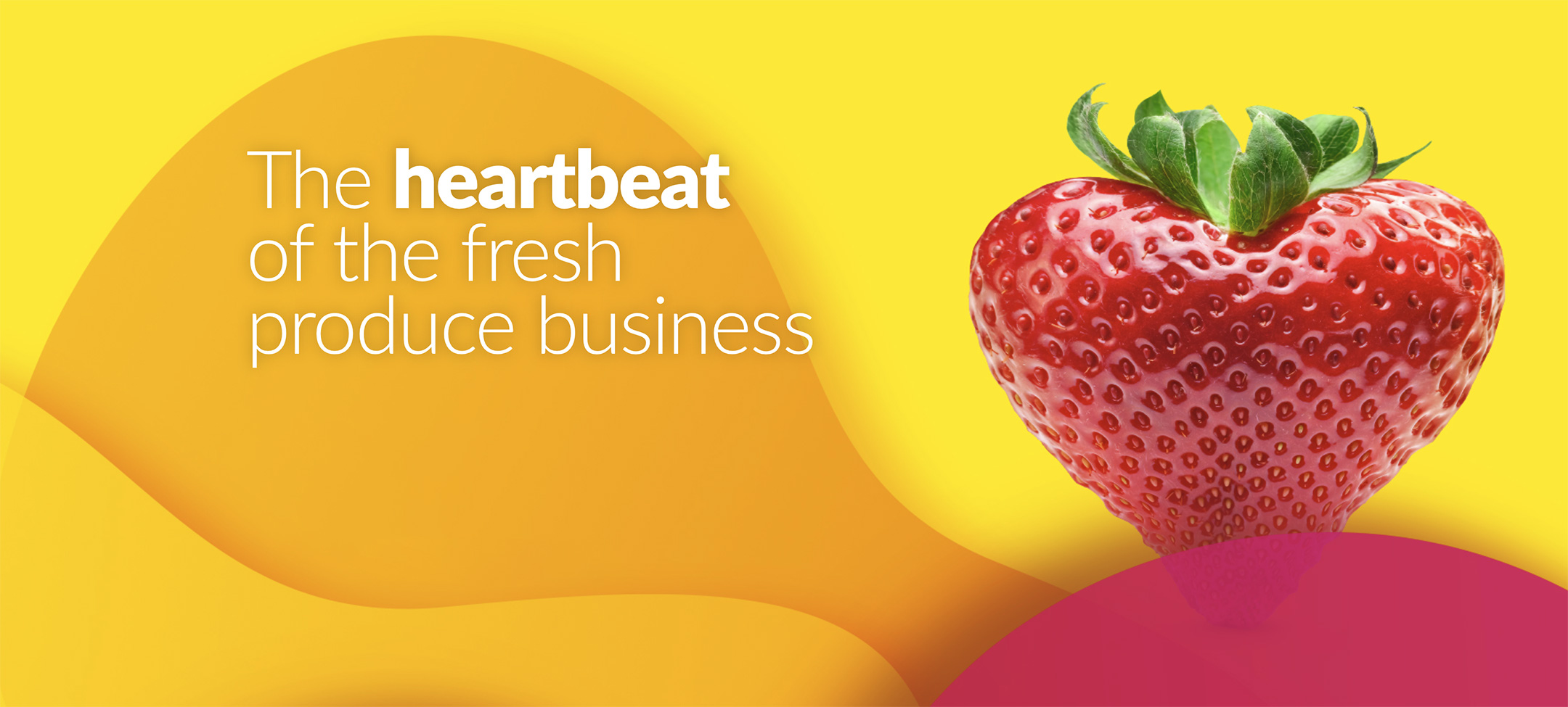 Innovation in action: QC One at the Heart of Fruit Logistica